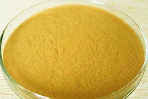 銀耳提取物 銀耳提取物