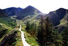 壽鹿山國家森林公園