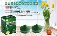 蛋白核小球藻對人體的作用