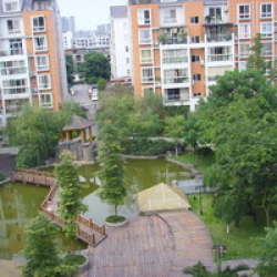 麗都新城三期 麗都新城三期