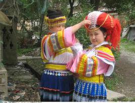 花苗[苗族支系之一]