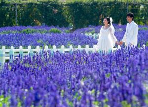 貴陽麥田婚紗攝影 貴陽麥田婚紗攝影