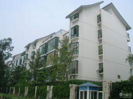 春語花間 春語花間