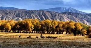 塔合曼溫泉 塔合曼溫泉