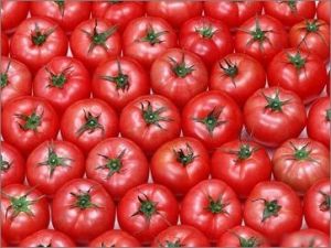 西紅柿減肥法