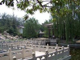 桃園公園 桃園公園