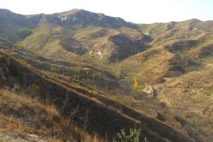 直峪馮家溝戰鬥 直峪馮家溝戰鬥