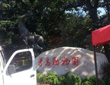 青島動物園西門處的“母子鹿”雕塑