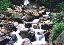 廣東樂昌楊東山十二度水省級自然保護區