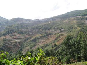 白沙井下村 白沙井下村