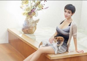 潘春春[陝西藝人]