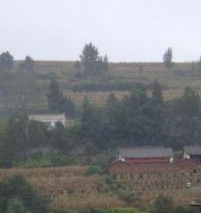 下李子坪村 下李子坪村