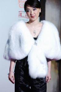 孤單背影[陳慧嫻的粵語歌曲]