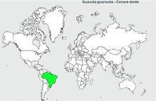 金黃錐尾鸚鵡分布圖