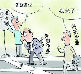 內資企業