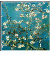 杏花煙雨 杏花煙雨