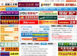 洛陽人才網 洛陽人才網