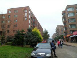 柏林四季 柏林四季