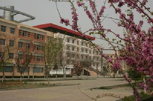 山東大王職業學院