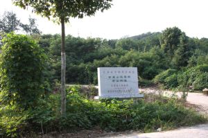 甘泉山漢墓群 甘泉山漢墓群