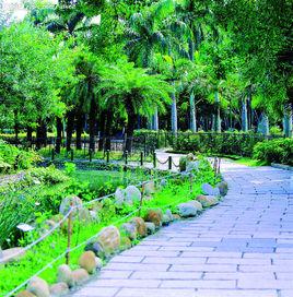 東風公園[廣州東風公園]