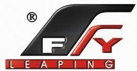 溫州飛越金融設備有限公司 溫州飛越金融設備有限公司