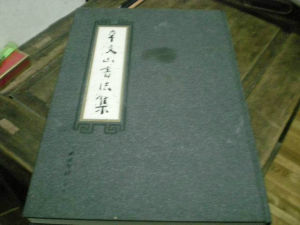《辛文山書法集》 《辛文山書法集》
