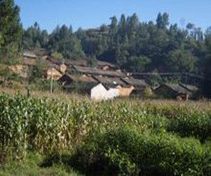 野豬沖自然村 野豬沖自然村