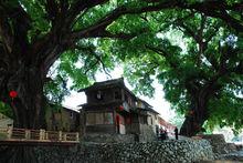 福建南靖土樓國家森林公園