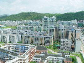 石岩[廣東深圳寶安區下轄鎮]