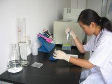 蛋白晶片檢測分析實驗