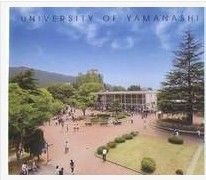 山梨大學