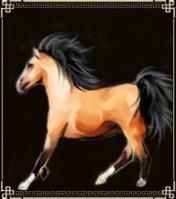 雷首良馬 雷首良馬