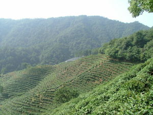 成吉思汗陵七大謎團