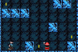 《鮑勃要回家》 《鮑勃要回家》