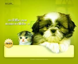 《狗紳士 狗淑女》 《狗紳士 狗淑女》