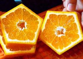 五角形的伊予柑