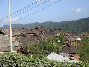 新曼峨自然村 新曼峨自然村