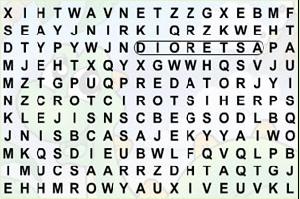 恐龍找單詞 恐龍找單詞