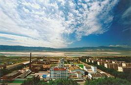 新疆鹽湖製鹽有限責任公司 新疆鹽湖製鹽有限責任公司