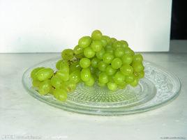 青提葡萄 青提葡萄
