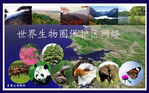 世界生物圈保護區網路