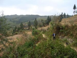 小腳背自然村進村道路