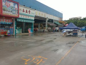 龍涌口村 龍涌口村