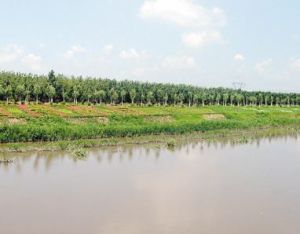 平羅街道陸家村 平羅街道陸家村