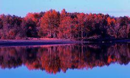 直接抒情法 直接抒情法