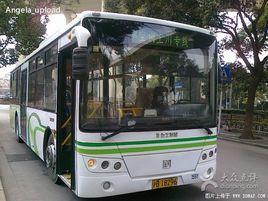 上川專線 上川專線