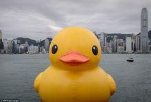 巨型橡皮鴨