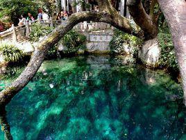 蝴蝶泉[徐霞客著文言文]