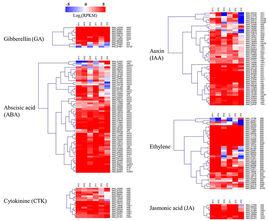 差異代謝物 差異代謝物